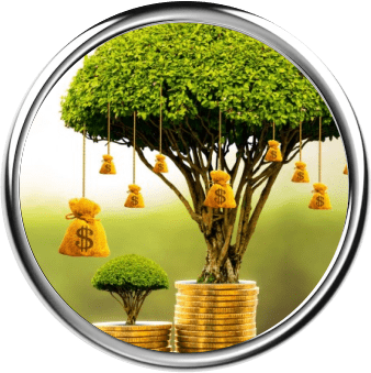 Rituales de Abundancia