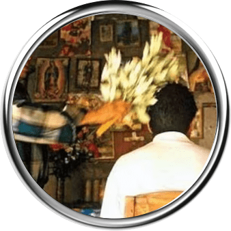 Limpias Contra Brujería